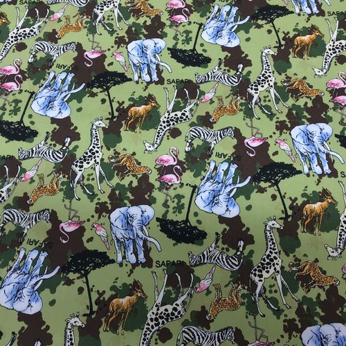 Safari animals giraffe - animals, leopard