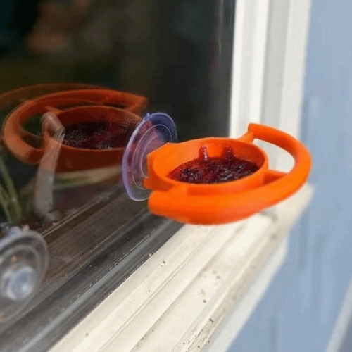 Window bird feeder - bird,