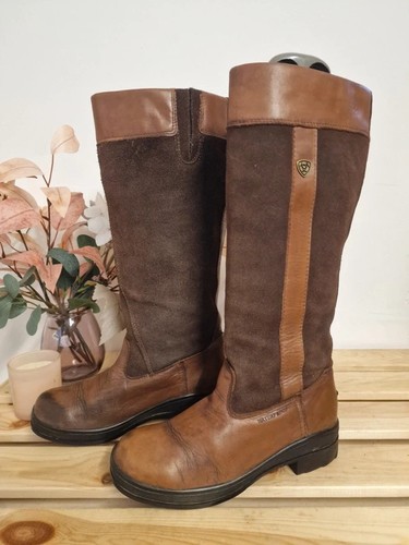 Women ariat windermere - women's,