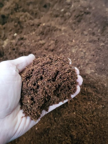 Natural coco coir hydroponic - coir,
