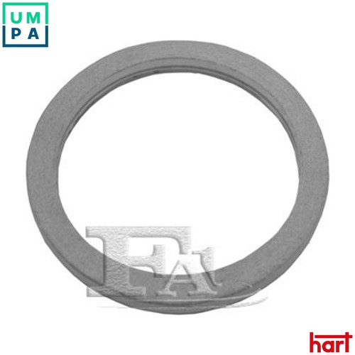 Gasket exhaust pipe 701 - pipe, 802