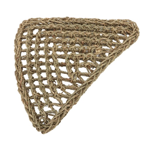 Bearded dragon hammock space - dragon,