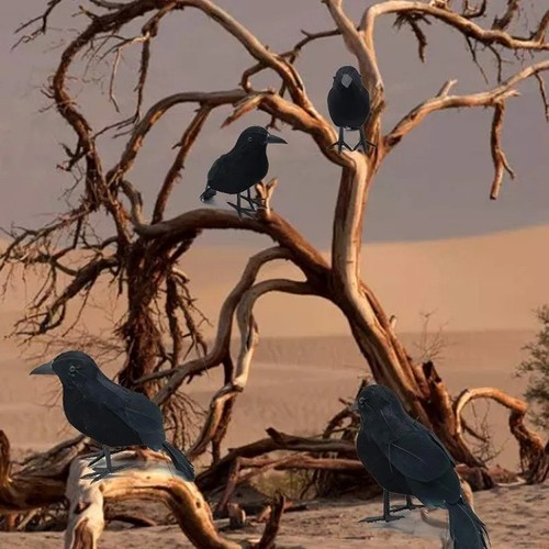 Realistic black crow - realistic,