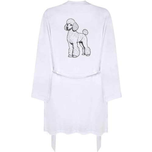 Small standard poodle - small, poodle'