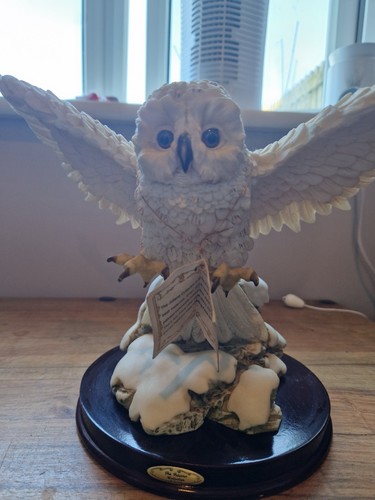Owl the juliana collection - juliana,