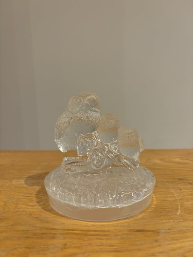 Rcr wildlife crystal families - rcr,