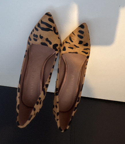 Next beige black - next, print