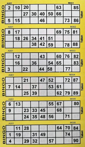 600 bingo tickets choose - 600,