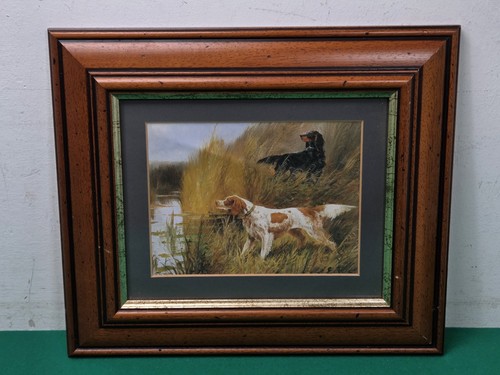 Framed duck rising spaniel - framed,
