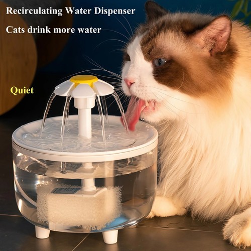 Usb automatic cat water - automatic,