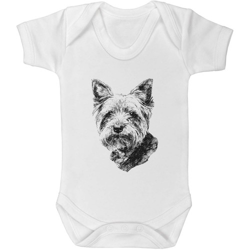 Yorkshire terrier portrait - terrier, portrait'