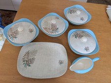 J & G Meakin Sol  Rock Fern