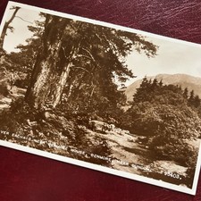 RIVER EACHAIG, BENMORE-Vintage