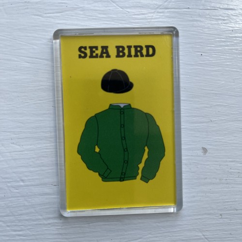 Sea bird fridge magnet - sea,