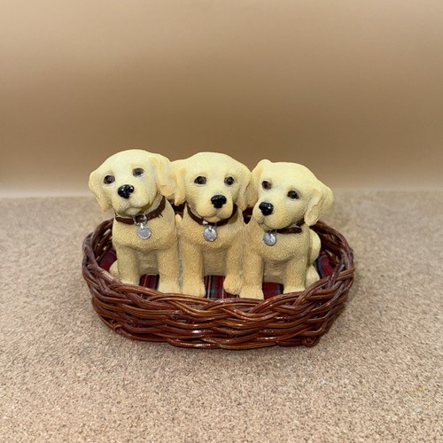 Regency fine arts - regency, 'labradors'