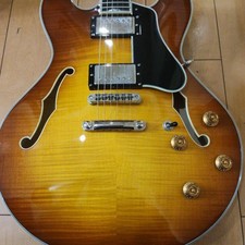 Eastman T486 Goldburst