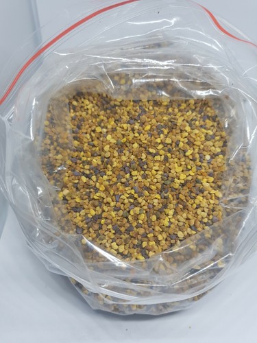 Bee pollen granules from - pollen,