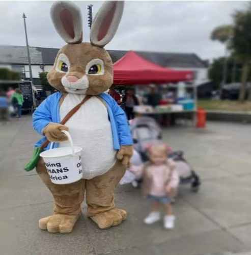 New peter easter rabbit - new,