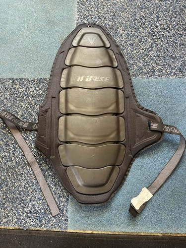 Dainese motorcycle back - motorcycle,