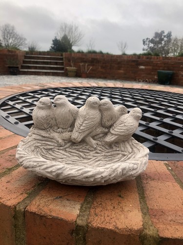 Garden bird bath concrete wall - bird,