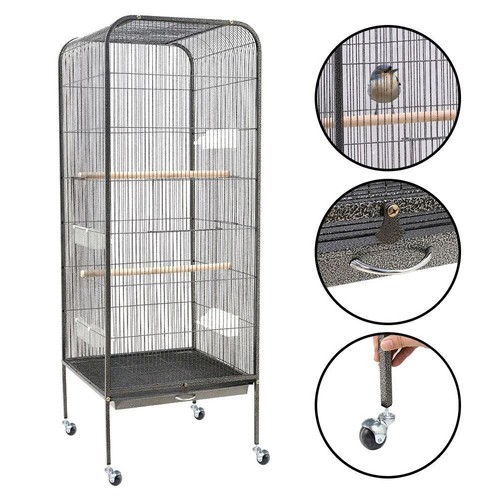 Large bird cage parrot - large,