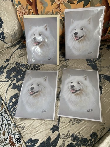 Samoyed greeting cards - samoyed, by