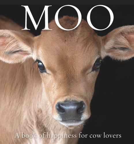Moo galloway angus ed - by,