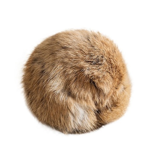 Dog training rabbit ball - dog,
