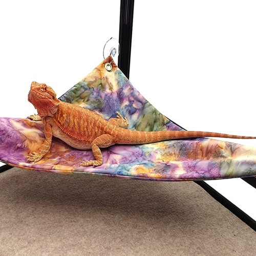 Pet hammock geckos bed - pet,