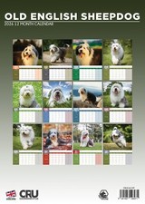 Old English Sheepdog Dog 2026