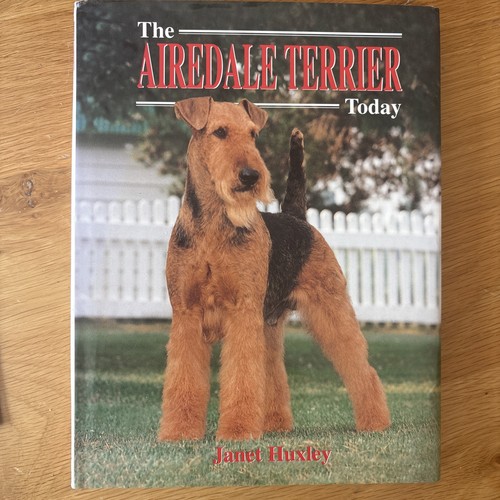 Airedale terrier today - airedale,