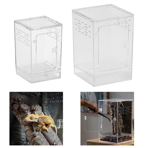 Acrylic spider enclosure - spider, clear