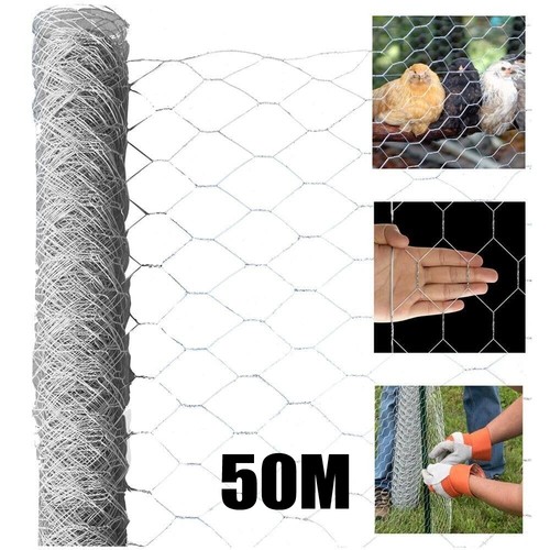 Chicken wire mesh - 50m, roll