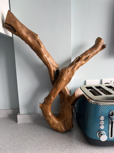 Large piece bogwood - piece,