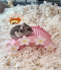 Hamster Flower Bridge, Mouse Bridge, Rat Bridge, Hamster Toy, Small Animal