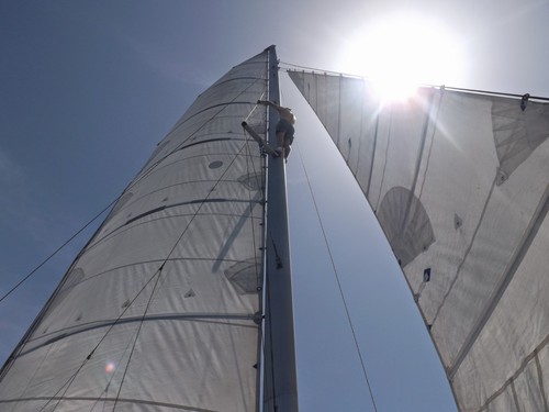 Catamaran sails with - sails, full