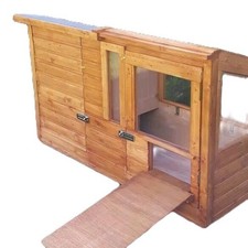 Cosy Tortoises NEW Small