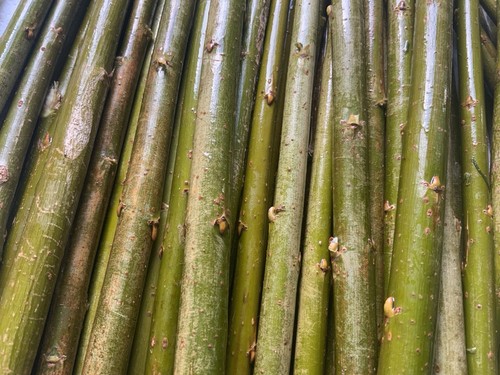 30cm 12inches willow - 25,