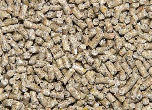 Layer pellets 20kg - layer, for