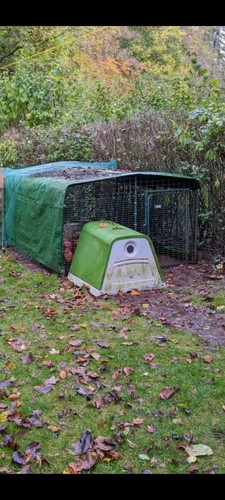 Omlet eglu chicken coop - eglu,