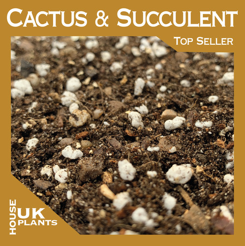 Cactus succulent soil - soil, mix