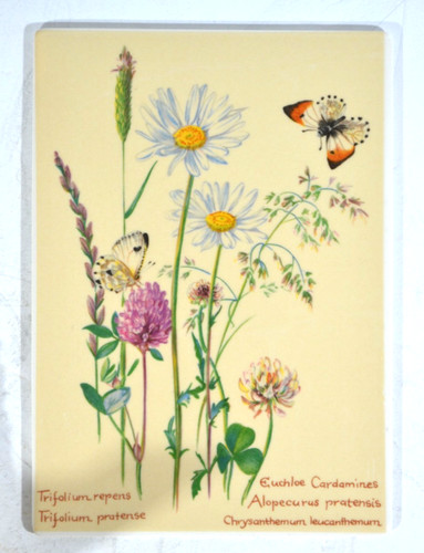 Villeroy boch vilbocard - villeroy,