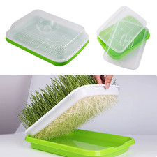 Seed Sprouter Tray with Lid