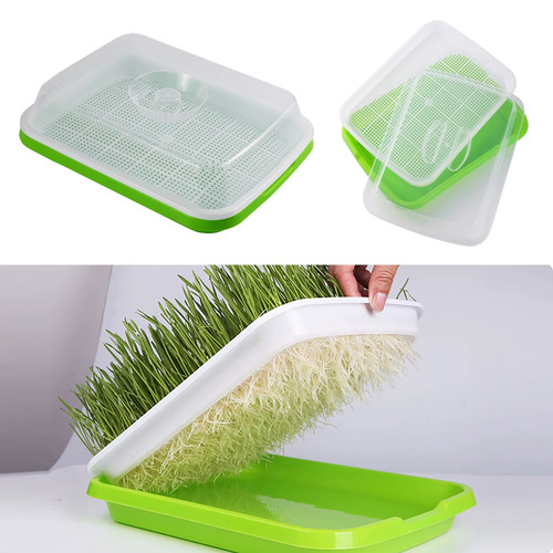 Seed sprouter tray with - seed, lid
