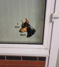 Doberman "I LIVE HERE" Window/Door sticker Decal