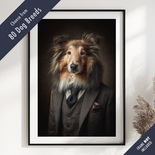Smartly dressed dog - dressed,