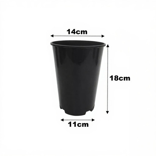 Litre deep rose plant pots - rose,