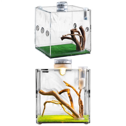 Reptile cage enclosure box - reptile,