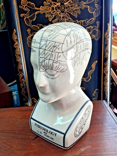 Phrenology head fowler - head, /