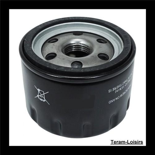 Oil filter for piaggio - piaggio, 500